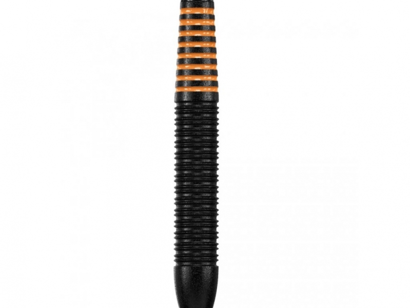 Šipky TARGET black brass Raymond van Barneveld 19g